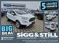 Ford EcoSport 1.0 Titanium AHK*LED*NAVI*TWA*SHZ*PDC*CAM Blanc - thumbnail 1
