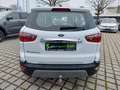 Ford EcoSport 1.0 Titanium AHK*LED*NAVI*TWA*SHZ*PDC*CAM Blanc - thumbnail 30
