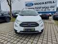 Ford EcoSport 1.0 Titanium AHK*LED*NAVI*TWA*SHZ*PDC*CAM Blanc - thumbnail 28
