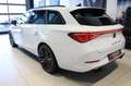 CUPRA Leon Sportstourer VZ 310PS ALLRAD+4JGAR+AHK+PANO Klima Weiß - thumbnail 2