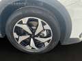 Ford Tourneo Connect 2.0 EcoBlue Active AWD Navi FLA Blanc - thumbnail 17