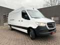 Mercedes-Benz Sprinter 317 L3H2 (37.500ex) 9G-TRONIC CAMERA PTS MBUX Wit - thumbnail 3