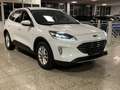 Ford Kuga Titanium AWD 2.0 LED+KAMERA+TOTW+SITZ+KEYL. Weiß - thumbnail 3
