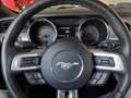 Ford Mustang Fastback 2.3 EcoBoost automatica GARANZIA Nero - thumbnail 13