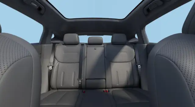 Xpeng G6 Performance AWD Ansicht 4