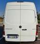 Mercedes-Benz Sprinter F39/33 311CDI TA PM PREZZO+IVA 22% EURO 6D TEMP Blanc - thumbnail 7