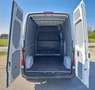 Mercedes-Benz Sprinter F39/33 311CDI TA PM PREZZO+IVA 22% EURO 6D TEMP Blanc - thumbnail 13