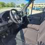 Mercedes-Benz Sprinter F39/33 311CDI TA PM PREZZO+IVA 22% EURO 6D TEMP Blanc - thumbnail 10