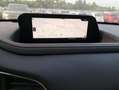 Mazda CX-30 2.0 E-SKYACTIV-X 137KW HOMURA 2WD 186 5P Gris - thumbnail 6