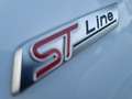 Ford Puma Puma 1.0 ecoboost h ST-Line s Wit - thumbnail 29