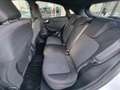 Ford Puma Puma 1.0 ecoboost h ST-Line s Wit - thumbnail 7