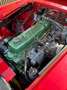 Austin-Healey 3000 Mk2a (BJ7) Kırmızı - thumbnail 5