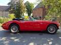 Austin-Healey 3000 Mk2a (BJ7) Kırmızı - thumbnail 1