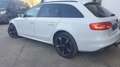 Audi A4 allroad A4 ALLROAD  2.0 TDI 170 AMBIENTE Blanc - thumbnail 2