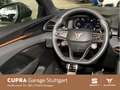 CUPRA Terramar 2.0 TSI  DSG 195 kW Schwarz - thumbnail 10