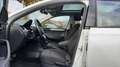 Skoda Rapid/Spaceback Drive   *KAMERA/PANORAMADACH/NAVI* Blanc - thumbnail 12