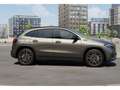 Mercedes-Benz EQA 250 HUD Distr PTS Navi Pano AUT Wide Cam LED Gris - thumbnail 9