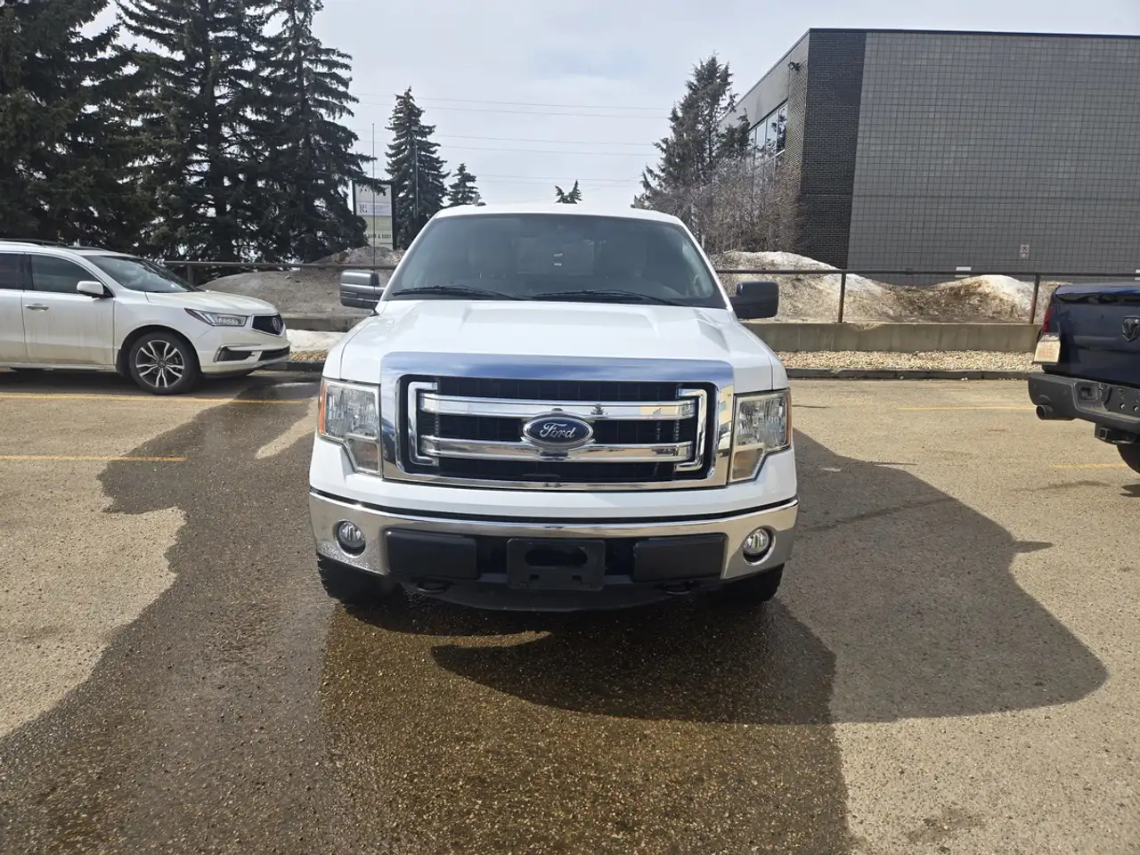 Ford F 150 fotografie Ford F 150