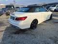 Mercedes-Benz E 500 Cabrio V8 4663ccm AMG LED Burmerster Weiß - thumbnail 5