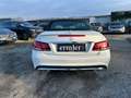 Mercedes-Benz E 500 Cabrio V8 4663ccm AMG LED Burmerster Weiß - thumbnail 4