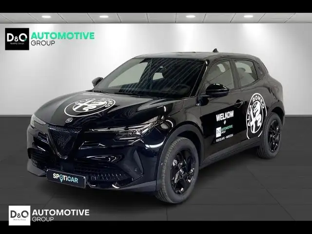 Alfa Romeo Junior Nero Tortona