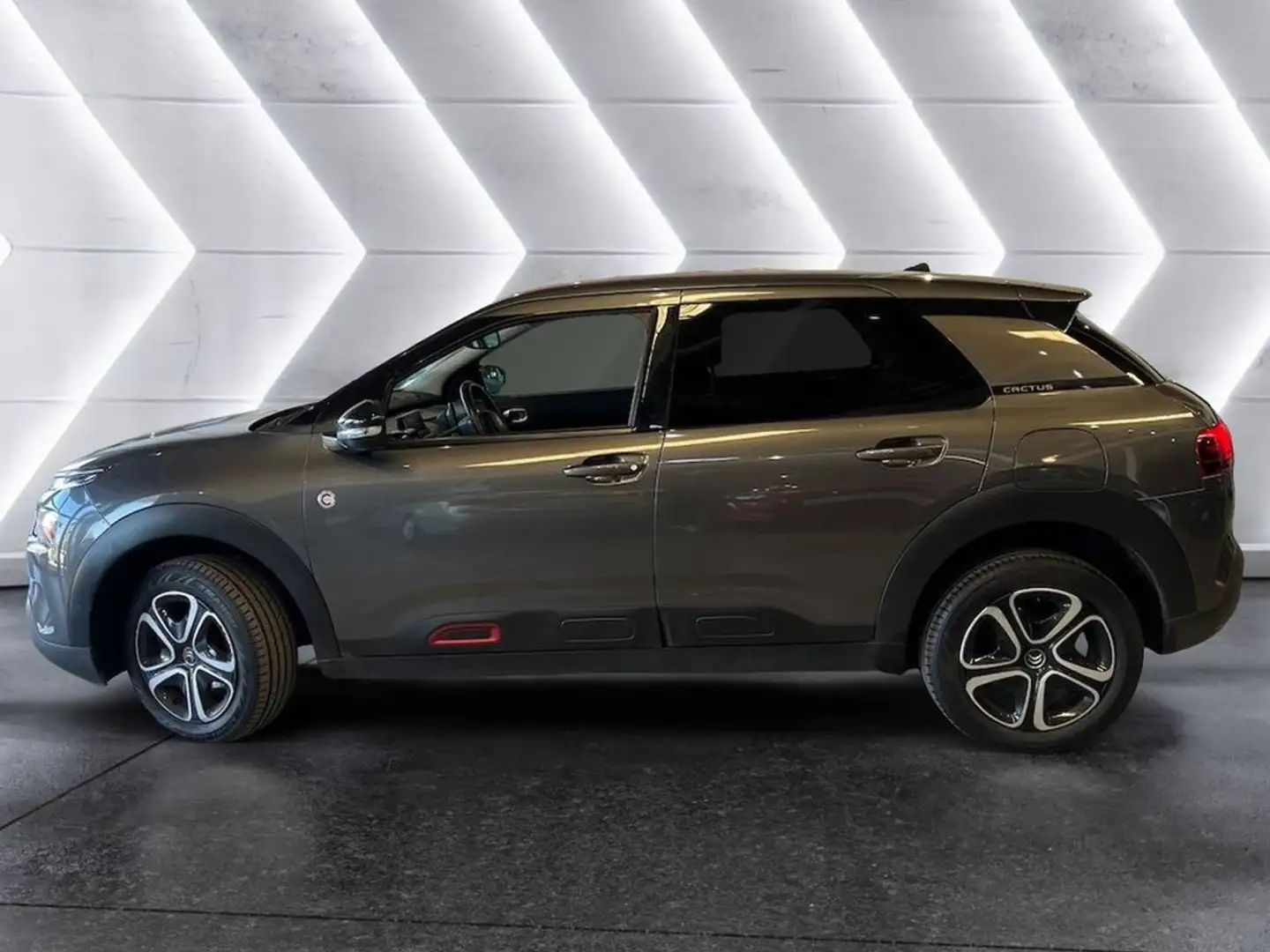 Citroen C4 Cactus BlueHDi 100 SS CSeries Gris - 2