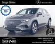 Mercedes-Benz EQA 350 4M Progressive Winter LED Kamera SpurW Gri - thumbnail 1