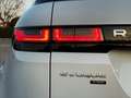 Land Rover Range Rover Evoque 2.0D MHEV Standard AWD Aut. 150 Weiß - thumbnail 15