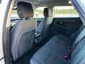 Land Rover Range Rover Evoque 2.0D MHEV Standard AWD Aut. 150 Weiß - thumbnail 8