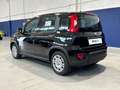 Fiat Panda 1.0 FireFly 70cv S&S Hybrid Noir - thumbnail 7