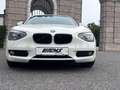 BMW 116 116 d *PICKERL NEU*KLIMAAUT.* Weiß - thumbnail 6