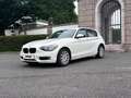 BMW 116 116 d *PICKERL NEU*KLIMAAUT.* Weiß - thumbnail 4