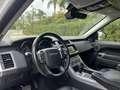 Land Rover Range Rover Sport 3.0TDV6 HSE Aut. Blanc - thumbnail 9