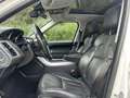 Land Rover Range Rover Sport 3.0TDV6 HSE Aut. Blanc - thumbnail 10