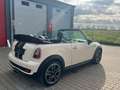 MINI Cooper S Cabrio Cooper S 1Hand 184ps Weiß - thumbnail 9