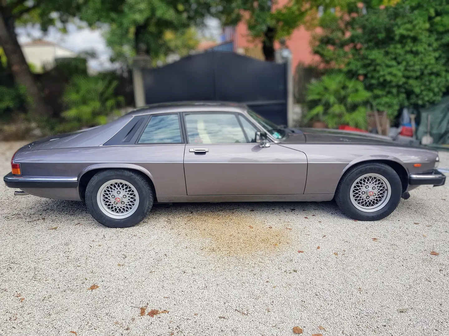 Jaguar XJS XJS V12 A Gris - 1