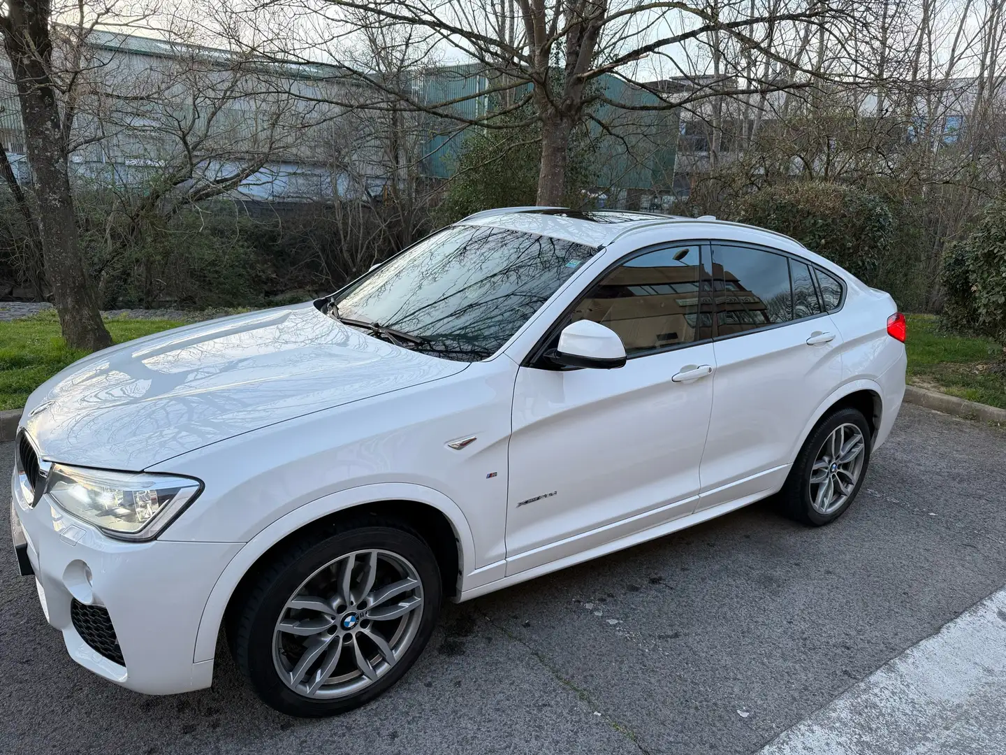 BMW X4 xDrive 20dA Impecable - 1