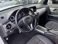 Mercedes-Benz GLK 220 Wit - thumbnail 12