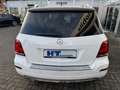 Mercedes-Benz GLK 220 Wit - thumbnail 8