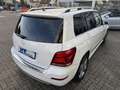Mercedes-Benz GLK 220 Wit - thumbnail 7