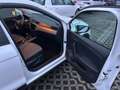 SEAT Arona Style - Benzin, Cam, StzH, 8 Reifen, Klima Weiß - thumbnail 12