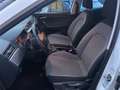 SEAT Arona Style - Benzin, Cam, StzH, 8 Reifen, Klima Weiß - thumbnail 9