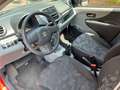 Suzuki Alto Klima,ALU,49.000km Rot - thumbnail 7