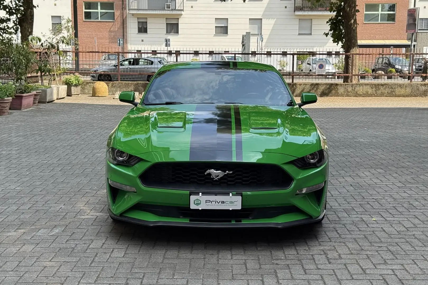 Ford Mustang Mustang Fastback 2.3 EcoBoost aut. Verde - 2