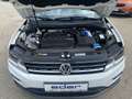 Volkswagen Tiguan Comfortline TDI SCR Weiß - thumbnail 29