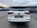 Volkswagen Golf Variant 2.0 TDI Life 163€ m. 20% Anzahlung AHK P Blanc - thumbnail 7