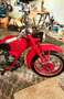 Moto Guzzi Falcone 1949 Rojo - thumbnail 8