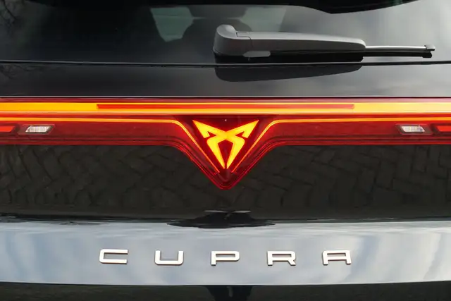Cupra Terramar view 14