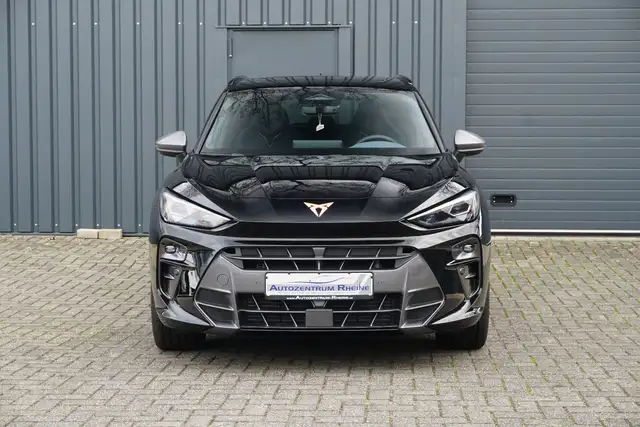 Cupra Terramar view 2