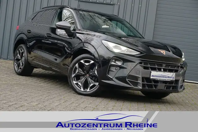 Cupra Terramar main image